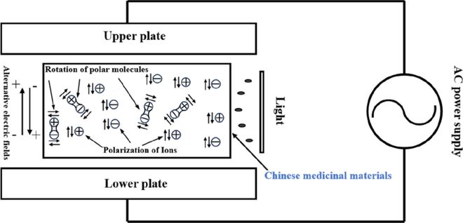 APPS 射频与蓝光协同作用：通过氧化酶抑制和生物活性化合物